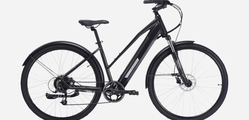 Sporting Goods Retailer Intersport Refreshes Nakamura Crossover S E-Bike