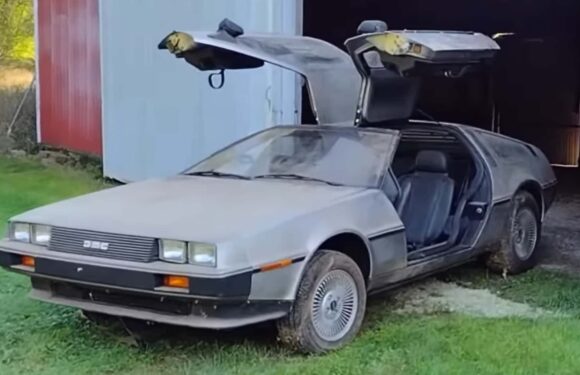 1981 DeLorean Barn Find With 977 Miles Is Rust-Free And Has Original Tires