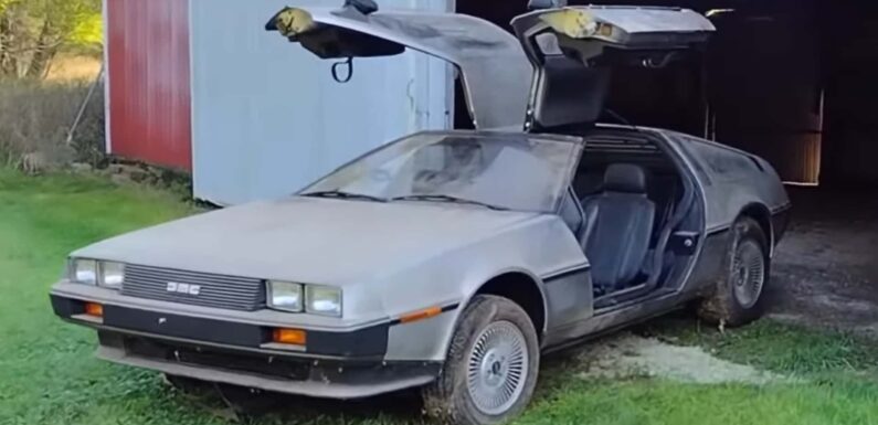 1981 DeLorean Barn Find With 977 Miles Is Rust-Free And Has Original Tires