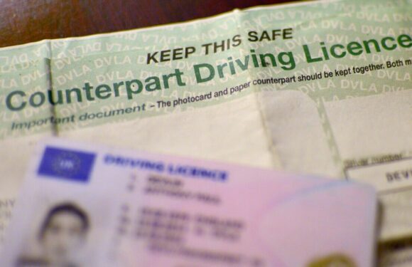 New driving licence rule could ‘confuse’ drivers with situation ‘dragging on’