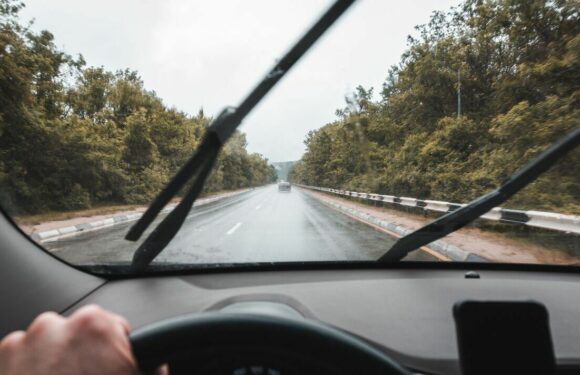 ‘I’m a car expert and the black dots on your car windscreen are so important’